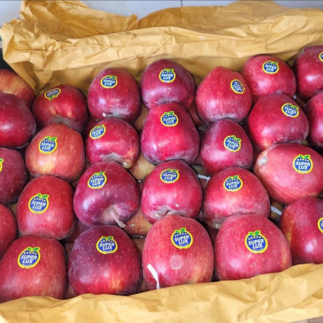 عکس میوه فروشی ترش و شیرین