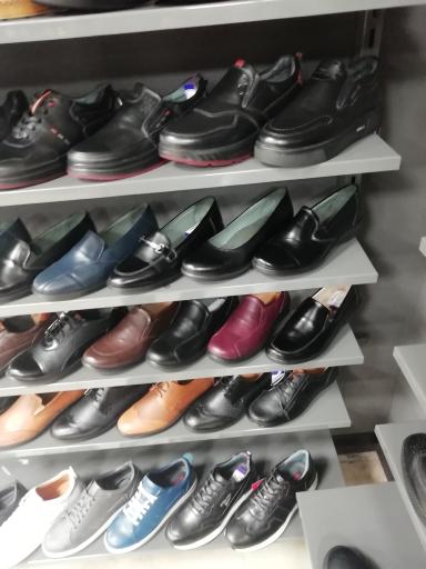 عکس نمایندگی پاما