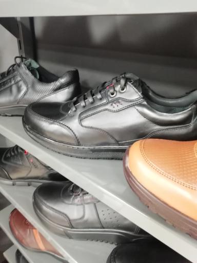 عکس نمایندگی پاما