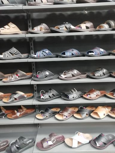 عکس نمایندگی پاما