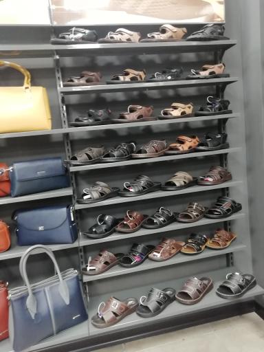 عکس نمایندگی پاما