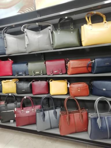 عکس نمایندگی پاما