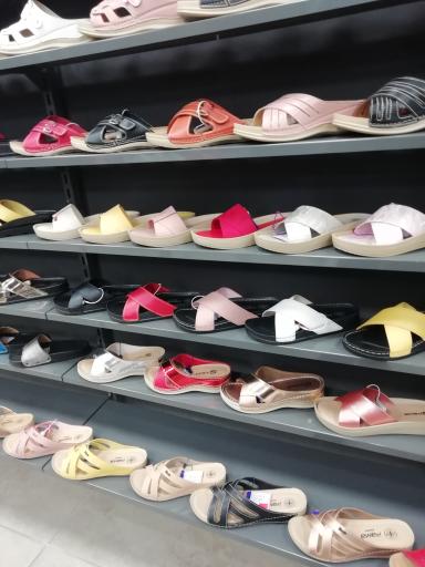 عکس نمایندگی پاما