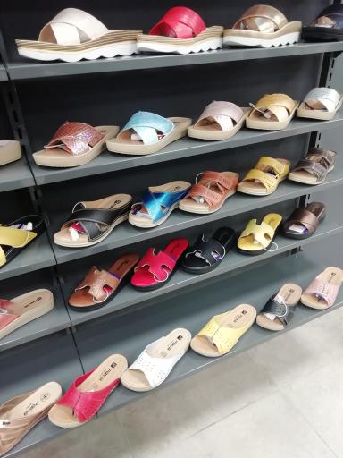 عکس نمایندگی پاما