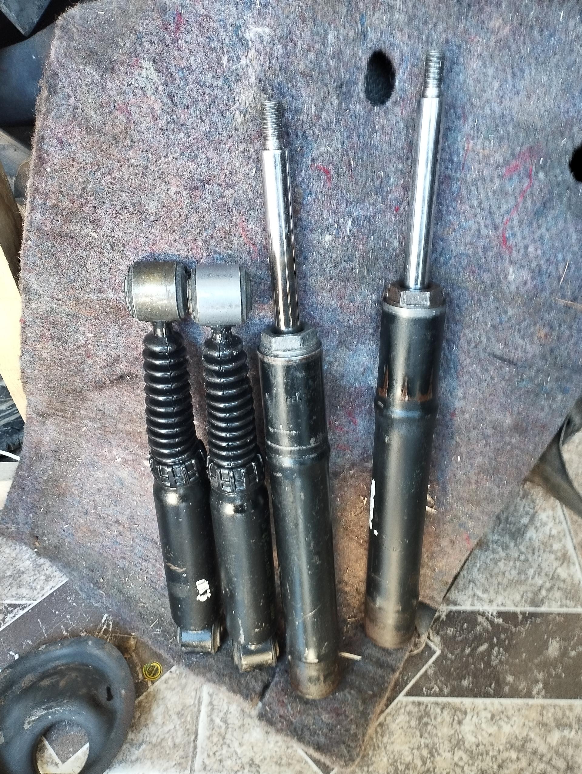 عکس استوک شایان