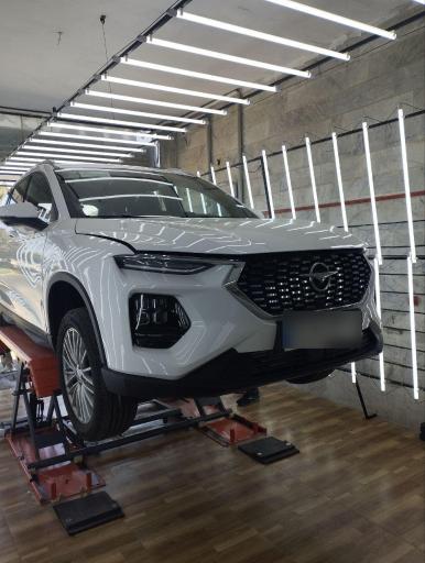 عکس تشخیص رنگ سعیدی