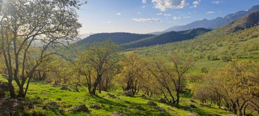 عکس سراب دوره