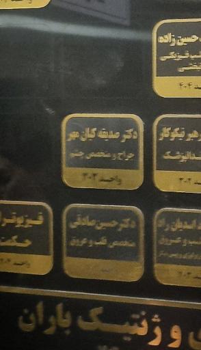 عکس دکتر صدیقه کیان‌ مهر