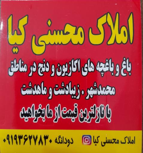 املاک محسنی کیا