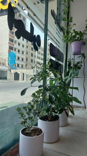 مشاورین املاک ایران ملک