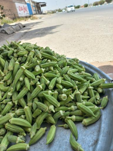 عکس بامیه و تره بار سوگند