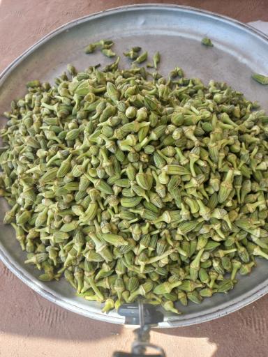 عکس بامیه و تره بار سوگند