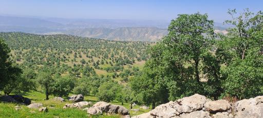 عکس سراب دوره