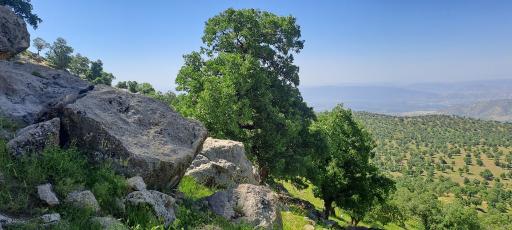 عکس سراب دوره