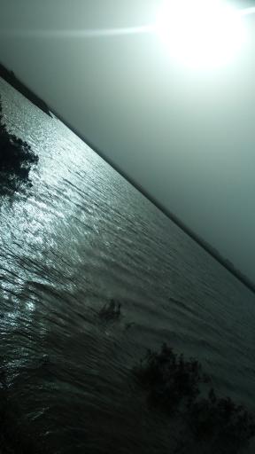 عکس نیل شهر