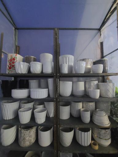 عکس گلخانه شکوفه