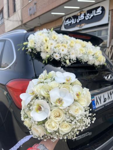 عکس گالری گل رونیکا