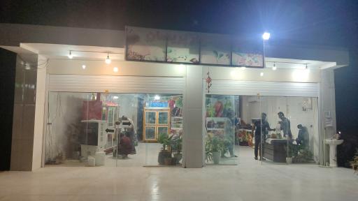 عکس تره باری پریسان