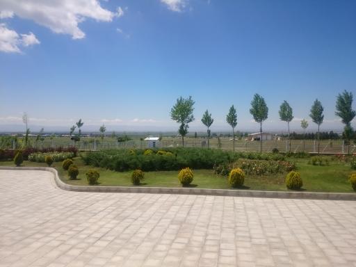 عکس زرگر