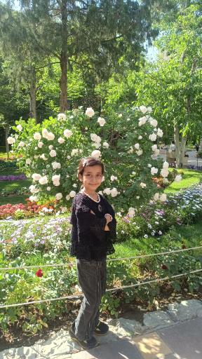 عکس بوستان شهید سردار سلیمانی