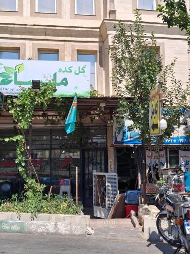 گل کده ملیسا