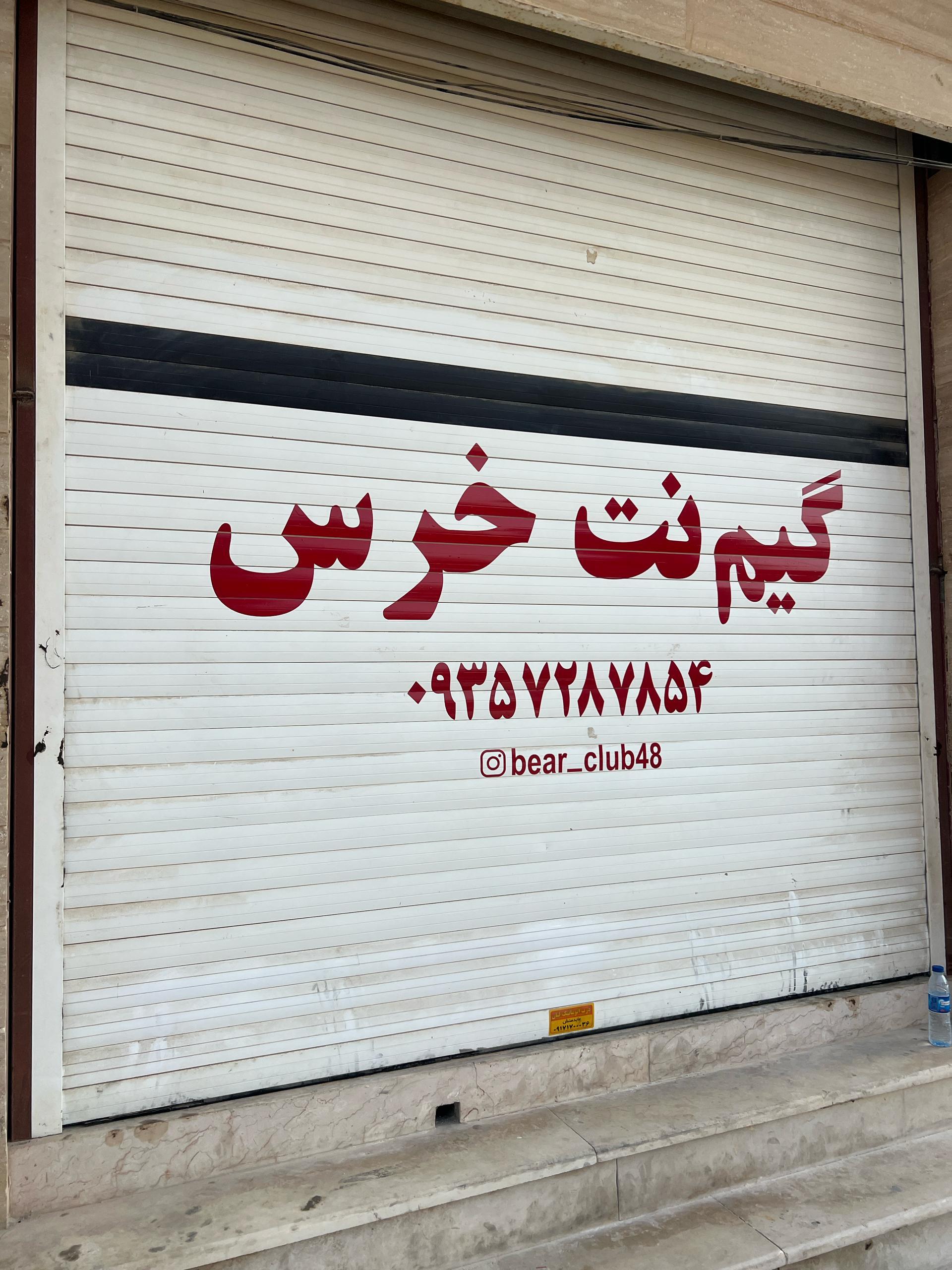 عکس گیم نت خرس