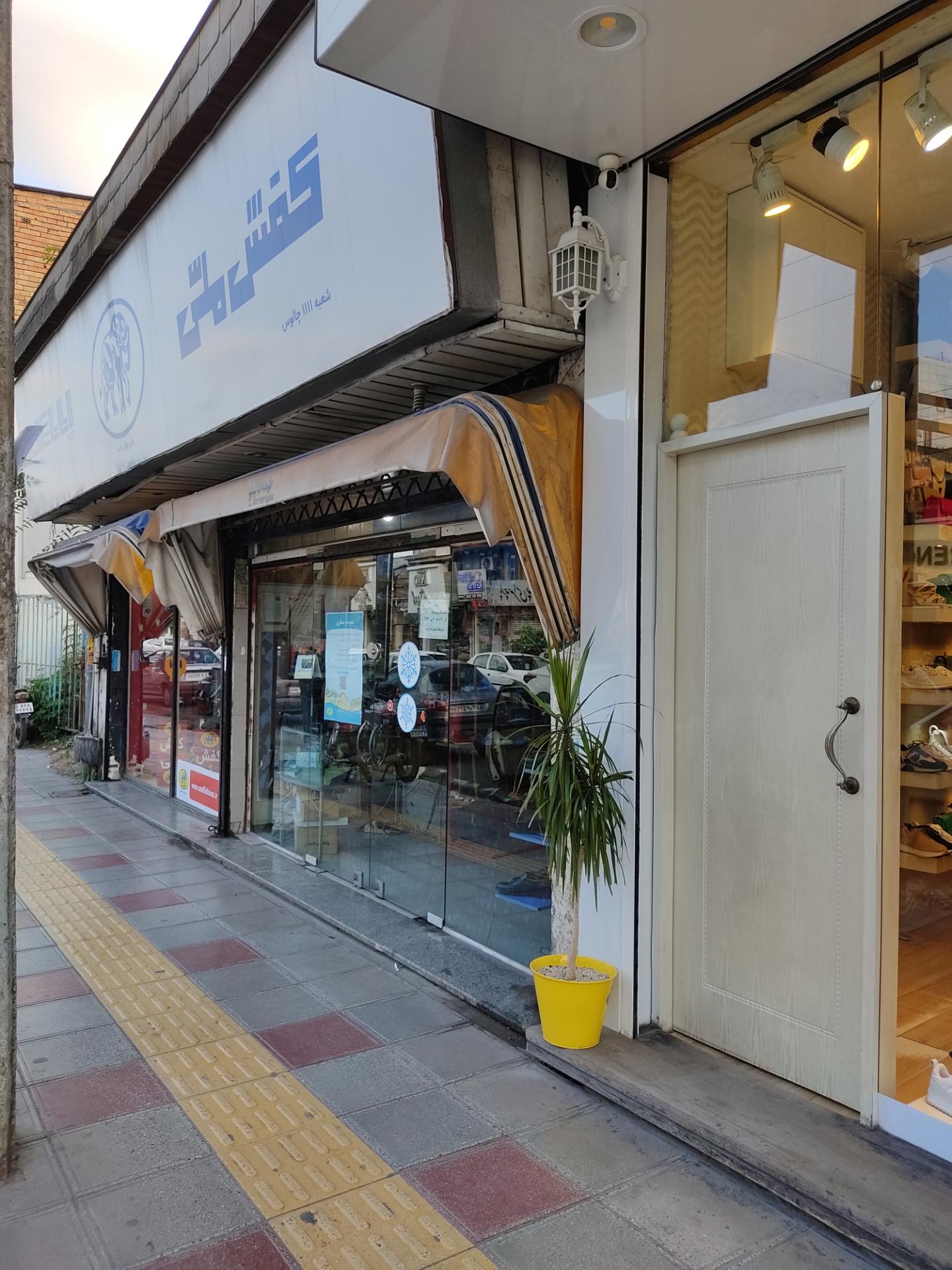 عکس کفش ملی 1111 چالوس