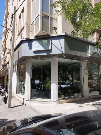 عکس گل فروشی موگ