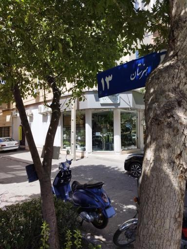 عکس گل فروشی موگ