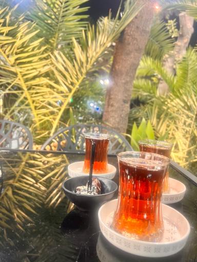 عکس مطعم منال