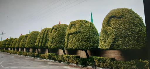 عکس گروه صنایع فولاد صبح پارسیان