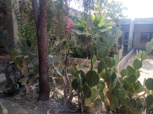 عکس بومگردی شریفی
