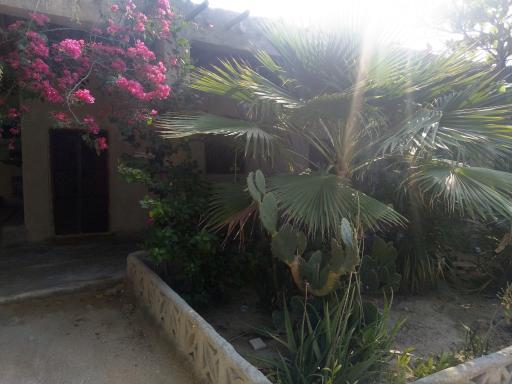 عکس بومگردی شریفی