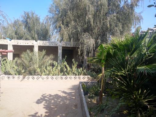عکس بومگردی شریفی