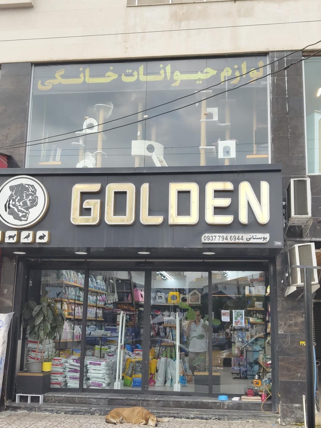 عکس پت شاپ گلدن