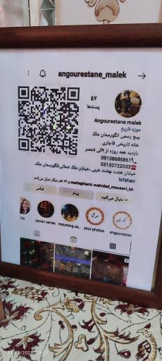 عکس انگورستان ملک التجار