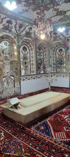 عکس انگورستان ملک التجار