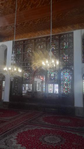 عکس انگورستان ملک التجار