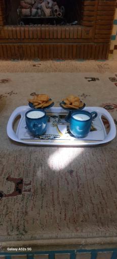 عکس انگورستان ملک التجار