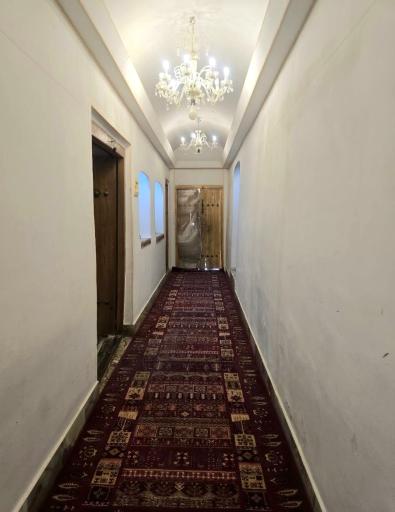 عکس انگورستان ملک التجار