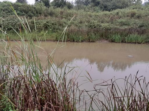 عکس استخرهای پرورش ماهی