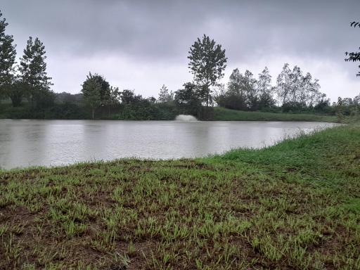 عکس استخرهای پرورش ماهی