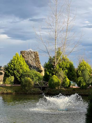 عکس کافه باغ امپراطور