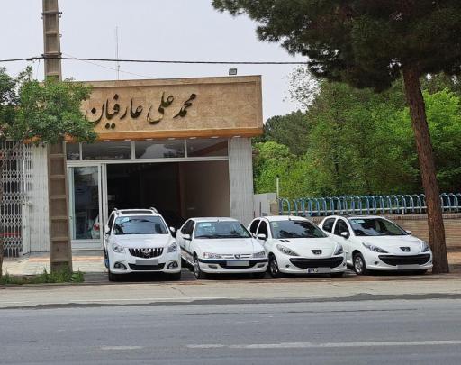 عکس اتو گالری محمدعلی عارفیان