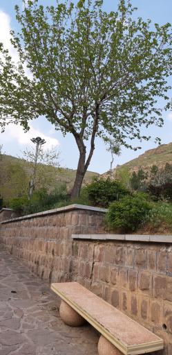 عکس بوستان نیلوفر