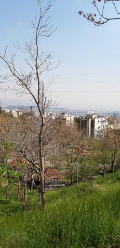 عکس بوستان نیلوفر