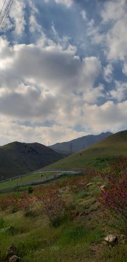 عکس بوستان نیلوفر