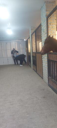 عکس باشگاه سوارکاری اسب پردیسان