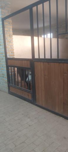 عکس باشگاه سوارکاری اسب پردیسان