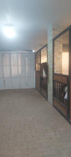 عکس باشگاه سوارکاری اسب پردیسان